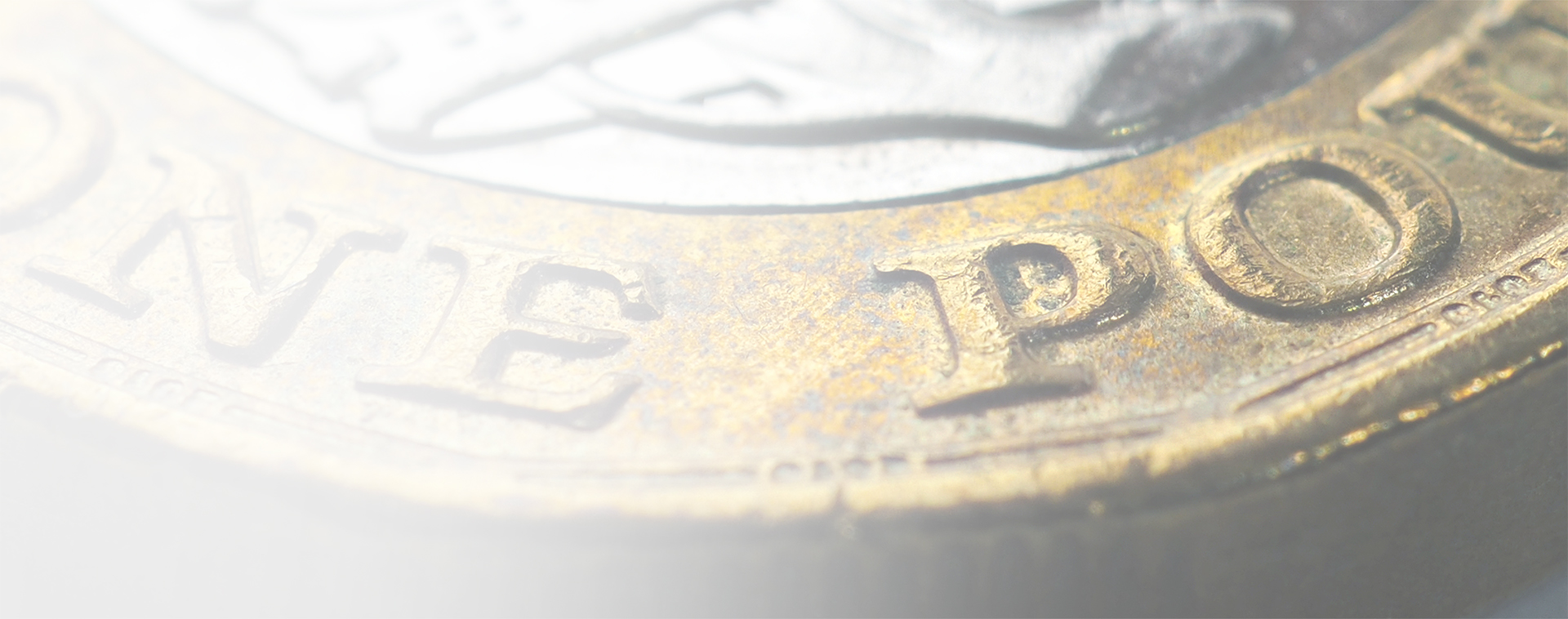 Image showing a close up of a pound coin